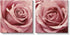 Gardenia Art Pink Rose Close Up Canvas Wall Art, 2 Piece Blush Pink Floral Paintings for Living Room or Office 12"x12"