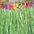 Charmed Luau Tropical Hawaiian Party Decorations - 144 Paper Cocktail Umbrellas, Grass Table Skirt, Lei Garland