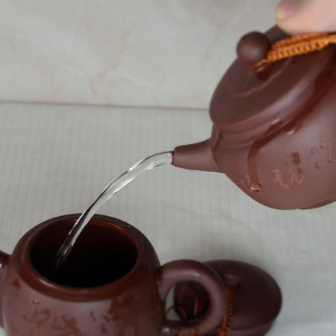 Zisha Clay Teapot, 8oz Chinese Tea Pot Ceramics Purple Sand Pot, Kungfu Tea Kettle with Filter for Loose Tea