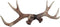 Zeckos 17 Inch Decorative Lifelike Deer Antler Rack Wall Hook for Hunting Cabin