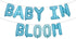 RUIANSI Baby Shower Banner Baby In Bloom Light Blue 16 Inch