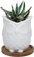 White Ceramic Owl Succulent Planter Pot with Drainage Tray, Cute Animal Cactus Container