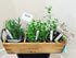Gardinnovations 10-Pack Plantid Assorted Kitchen Herbs! Farmhouse Decor Outdoor Indoor Herb Garden Stakes, Plant
