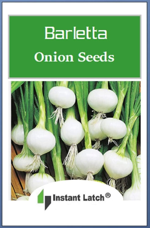 Instant Latch Barletta Onion Seeds - Non-GMO Heirloom Variety for Your Garden