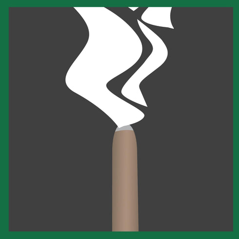 PIC CIT STK Citronella Sticks, Green