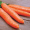 Park Seed Carrot Plant Seeds, Variety of Pack Sizes and Colors, Spring