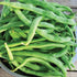 30+ Packet, Kentucky Wonder Bush Bean Seeds for Planting, Heirloom Seeds Per (Isla's Garden Seeds), Non GMO Seeds