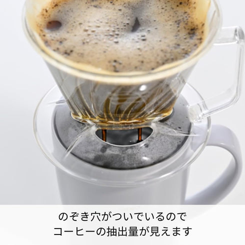 Hario Pegasus Flat Bottom Dripper, Size 02, Clear