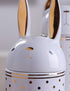 HAUCOZE Rabbit Cookie Jar Decorative Candy Jar with Lid, Modern Ceramic 8.1inch