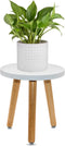 Wood Plant Stand, Modern Small Flower Pot Holder, Decorative Planter Stand for Indoor Plants