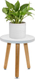 Wood Plant Stand, Modern Small Flower Pot Holder, Decorative Planter Stand for Indoor Plants