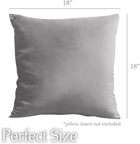 lalaLOOM Velvet Throw Pillow Covers, Set of 2, 18x18 Decorative Square Soft Accent Cases for Couch, Bedroom, Dark Gray