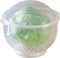 WalterDrake Lettuce KeeperTM - Lettuce Crisper Salad Keeper Container Keeps your Salads and