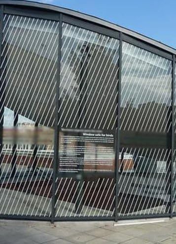 White Bird Tape for Windows, 3/4" x 40', Bird Strike Prevention Decals for Windows