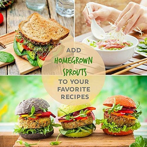 29 (1 Lb) Waltham Broccoli Seeds | Non-GMO Bulk Heirloom Broccoli Seeds for Sprouting, Microgreens, Vegetable