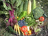 Apexmode 12 Premium Winter Vegetable Seeds for Planting Organic Non-GMO Heirloom Seeds Varieties: Radish, Pea