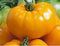 Yellow Brandywine Heirloom Tomato Seeds - Large Tomato - A Delicious Tomato