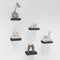 HAO Small Floating Shelf 6 inch Wall Mounted Mini Hanging Display Shelves