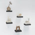 HAO Small Floating Shelf 6 inch Wall Mounted Mini Hanging Display Shelves