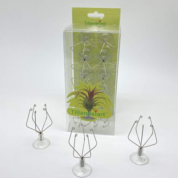 10 Pack Vertical Air Plant Holder (Suction Cup, Stainless Steel Tillandsia Air