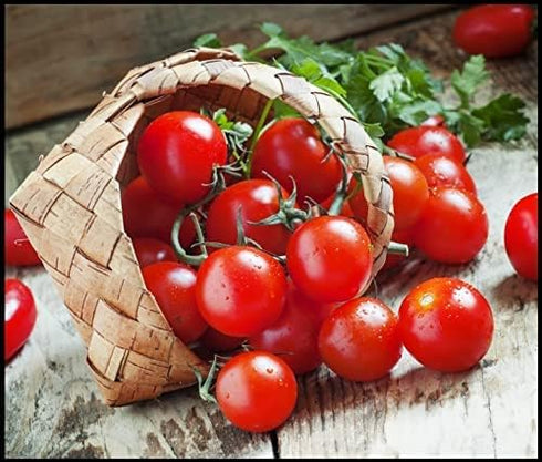 100+ Dwarf Bush Cherry Tomato Seeds for Planting - Seeds - Amazing Taste - Great for Salads - Made in USA. Ships from