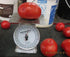 (2) 5" 7" 3.5 Inch Clovers Garden Goliath Tomato Plant Two Live Plants Not Seeds Each to Tall, in Pots