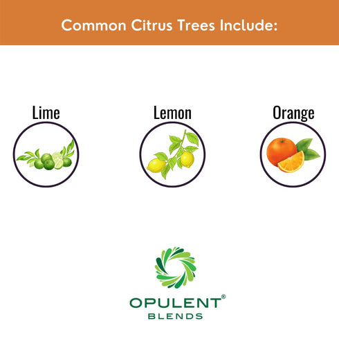 (16 oz.) Liquid Citrus Essentials | fl. | Increase Yield and Health of Citrus Trees | Liquid Fertilizer for Citrus