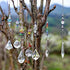 Set 7 H&D HYALINE & DORA Crystal Rainbow Suncatcher Glass Bead Chain Fengshui Hanging Pendant for Window Garden Party