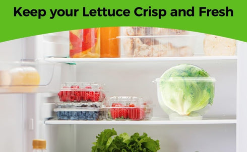 Trenton Gifts Set 2. 7" 8". Lettuce And Vegatable Storage Keeper. of X