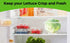 Trenton Gifts Set 2. 7" 8". Lettuce And Vegatable Storage Keeper. of X
