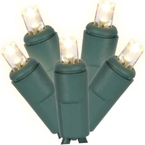 Vickerman 50 Light Warm White Twinkle LED Light Set on Green Wire