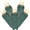 Vickerman 50 Light Warm White Twinkle LED Light Set on Green Wire