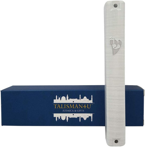 Waterproof Jewish MEZUZAH CASE with Scroll, 3D Metal Painted Design Classic Israel Judaica Plastic Door Mezuza