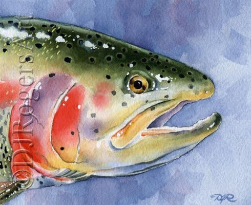 Fly Fishing Art RAINBOW TROUT Art Print by Artist DJ Rogers