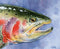Fly Fishing Art RAINBOW TROUT Art Print by Artist DJ Rogers