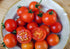 Harley Seeds 30 Dwarf Red Robin Tomato Seeds, Heirloom Non-GMO, Sweet, Low Acid, Determinate, Open-Pollinated