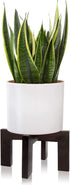 Gendral Forwepup Plant Stand Indoor Outdoor, Mid Century Plant Stand for Indoor