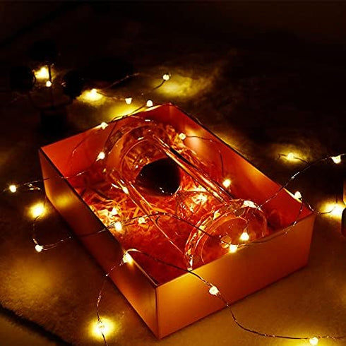Kangheshun Light,2 Pack Decoration(5m/16ft Timer Led String Mini Battery Powered Silver Wire Starry Fairy