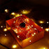 Kangheshun Light,2 Pack Decoration(5m/16ft Timer Led String Mini Battery Powered Silver Wire Starry Fairy