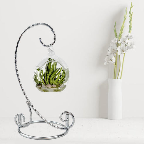 6 Inch Cute Ornament Display Stand,Twisted Silver Ornament Hanger Stand for Hanging Glass Globe, Air Plant Terrarium