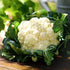 93% Gaea's Blessing Seeds - Cauliflower Seeds - Snowball Y Improved - Non-GMO Seeds with Easy to Follow Planting