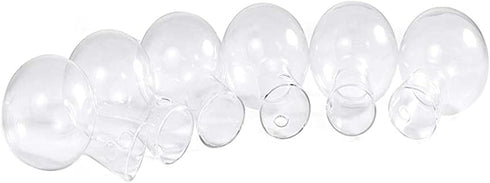 Bulb 1.18 2 Pack Kingbuy Glass Vase with Side-Hole (Hole to Hole Opening Dia.: in) for Replacement Planter Terrarium