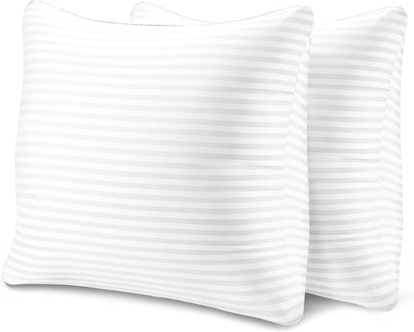 EvZ Premium Pillow Insert Sham - Square Form Polyester (18" X 18", Set of 2)