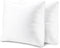 EvZ Premium Pillow Insert Sham - Square Form Polyester (18" X 18", Set of 2)