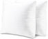 EvZ Premium Pillow Insert Sham - Square Form Polyester (18" X 18", Set of 2)