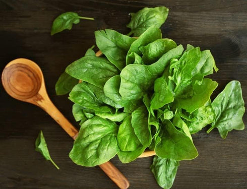 SeedsUP 300+ Seeds Four Season Spinach Viroflay Giant - Vegetable Green