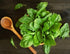 SeedsUP 300+ Seeds Four Season Spinach Viroflay Giant - Vegetable Green