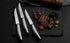 Steak Knife Set of 4, German Stainless Steel Serrated Steak Knives