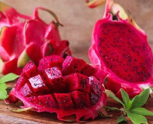The Lucky Stars 250 Rare Red Dragon Fruit (Pitaya) Seeds - 95% Germination Rate -