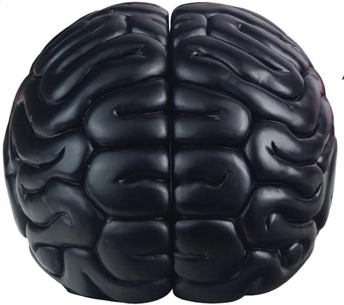 Brain Bookends, 6.5Inch Tall Brain Decorative Resin Book Shelf Organizers Book Holders